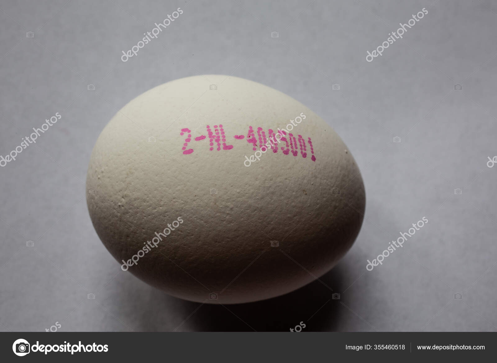 White Chicken Egg Date Stamp Stock Photo by ©dr.lange.unitybox.de 355460518